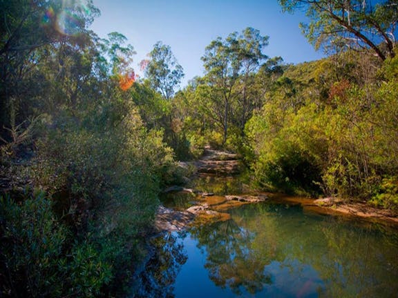 Bargo State Conservation Area