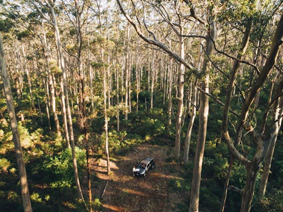 Leeuwin-Naturaliste National Park - Cowaramup