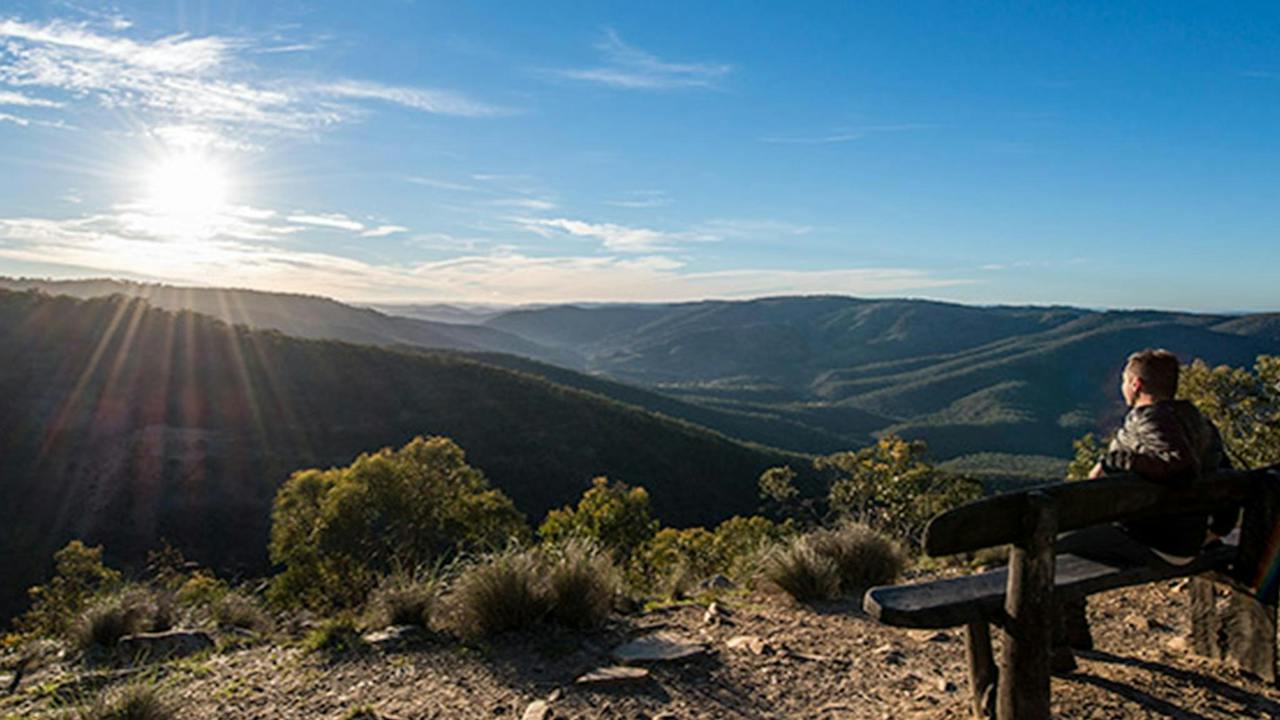 Beaufoy Merlin lookout