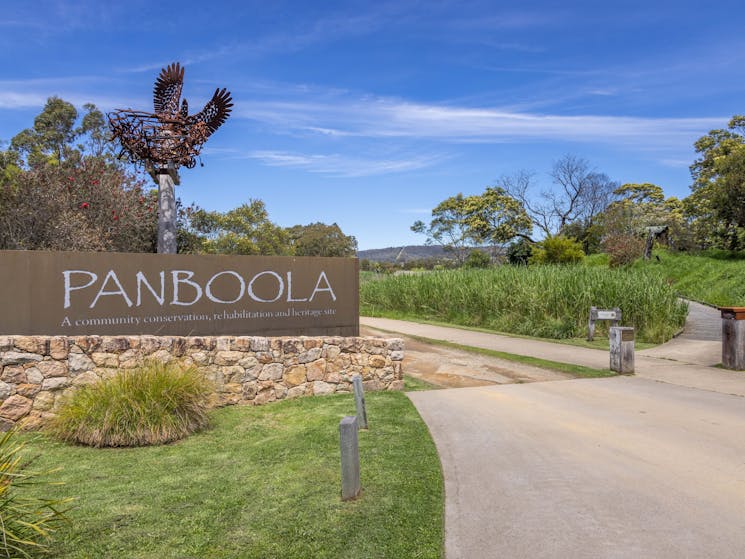 Panboola Wetlands, Pambula, Sapphire Coast NSW, walking, birdwatching, cycling