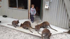 The Patriarch Wildlife Sanctuary