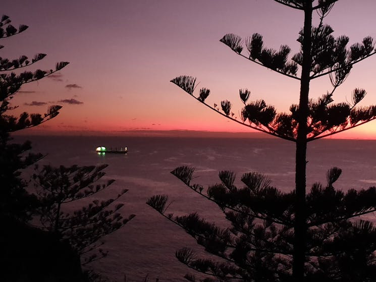 Nature Lovers Norfolk Island