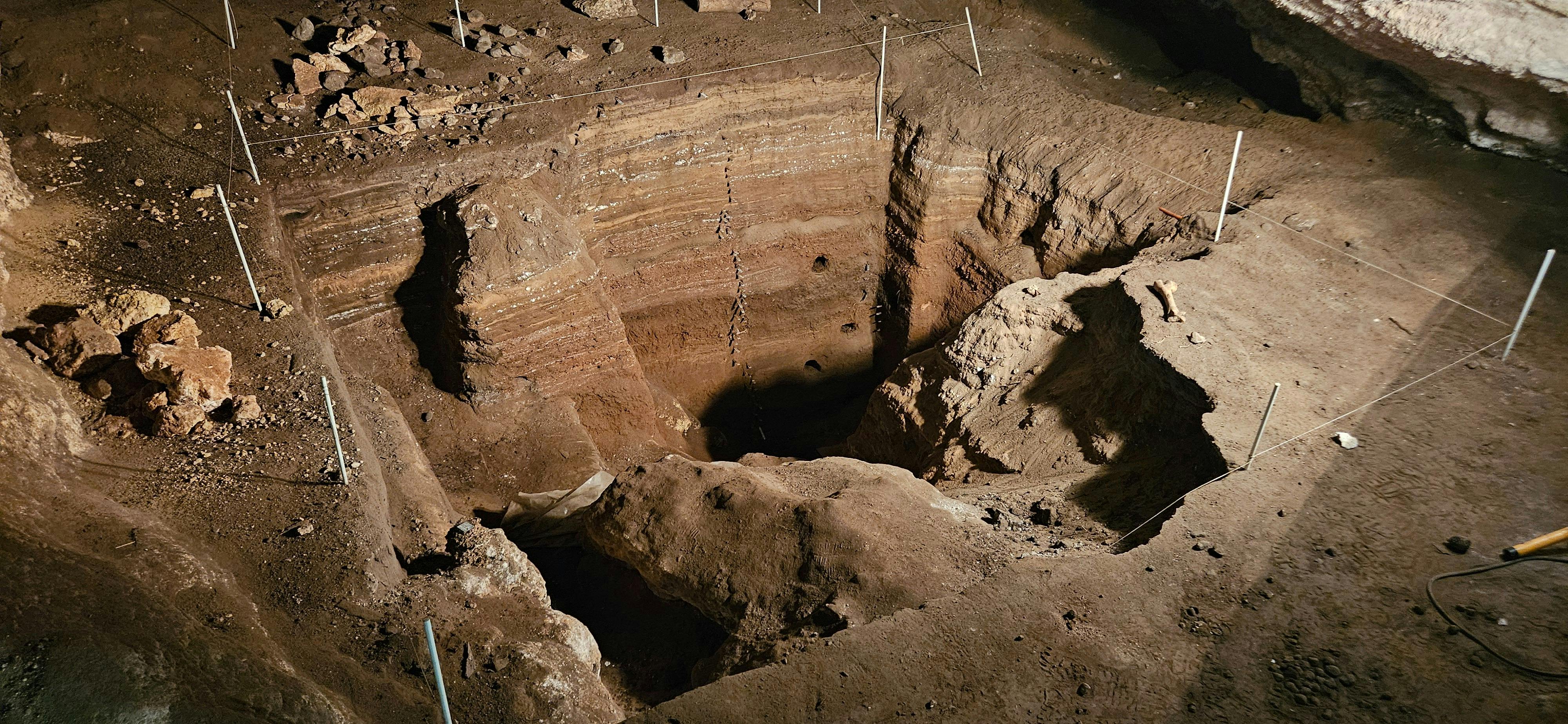 Caves, Cabernet, & Kangaroos Full-Day Tour With Lunch