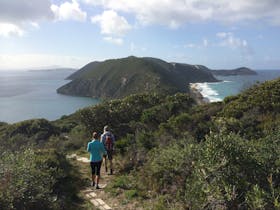 Bald Head Walking Track