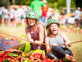 Chinchilla Melon Festival Cover Image