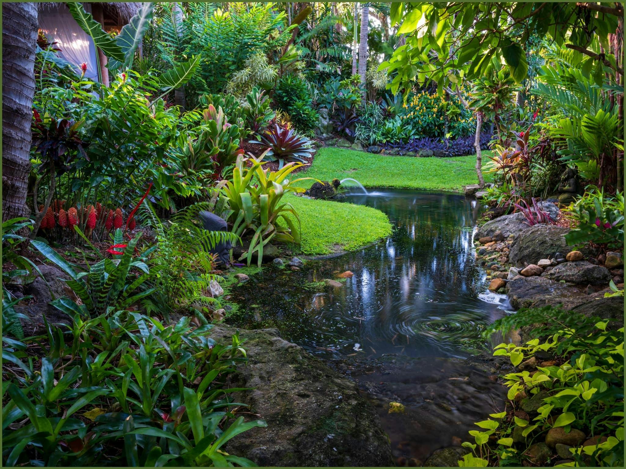 Dennis Hundscheidt private garden