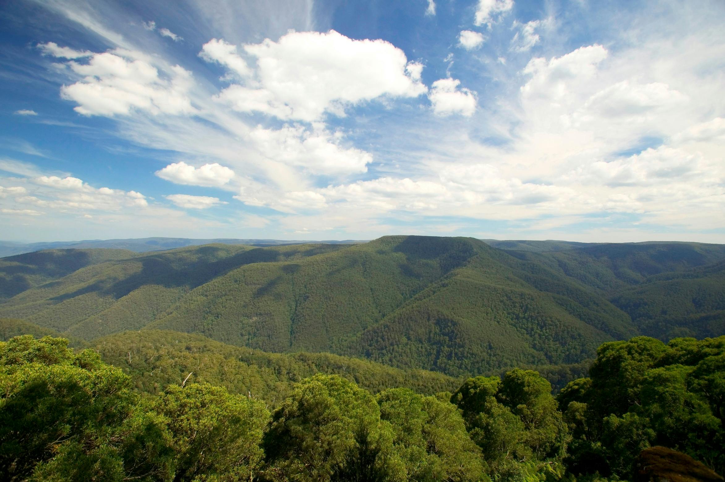 Barrington Tops
