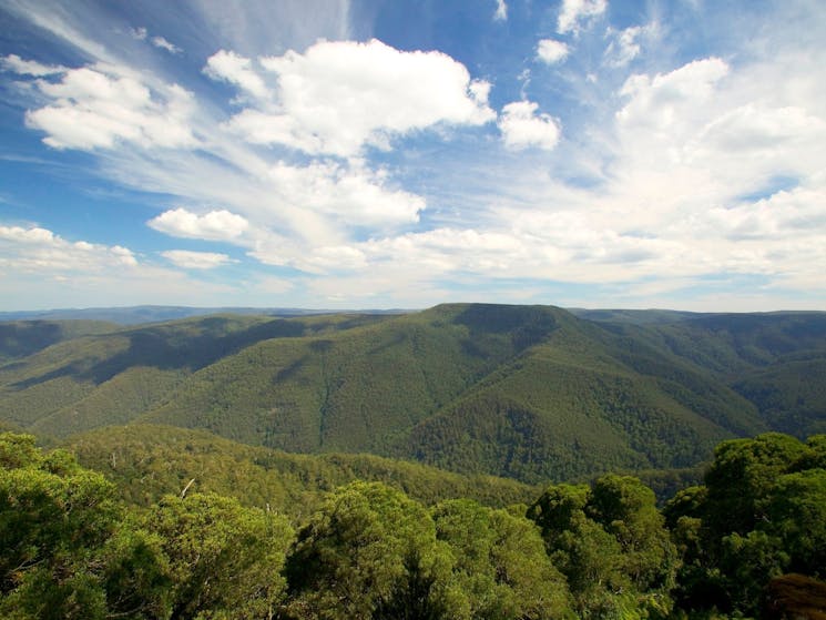 Barrington Tops