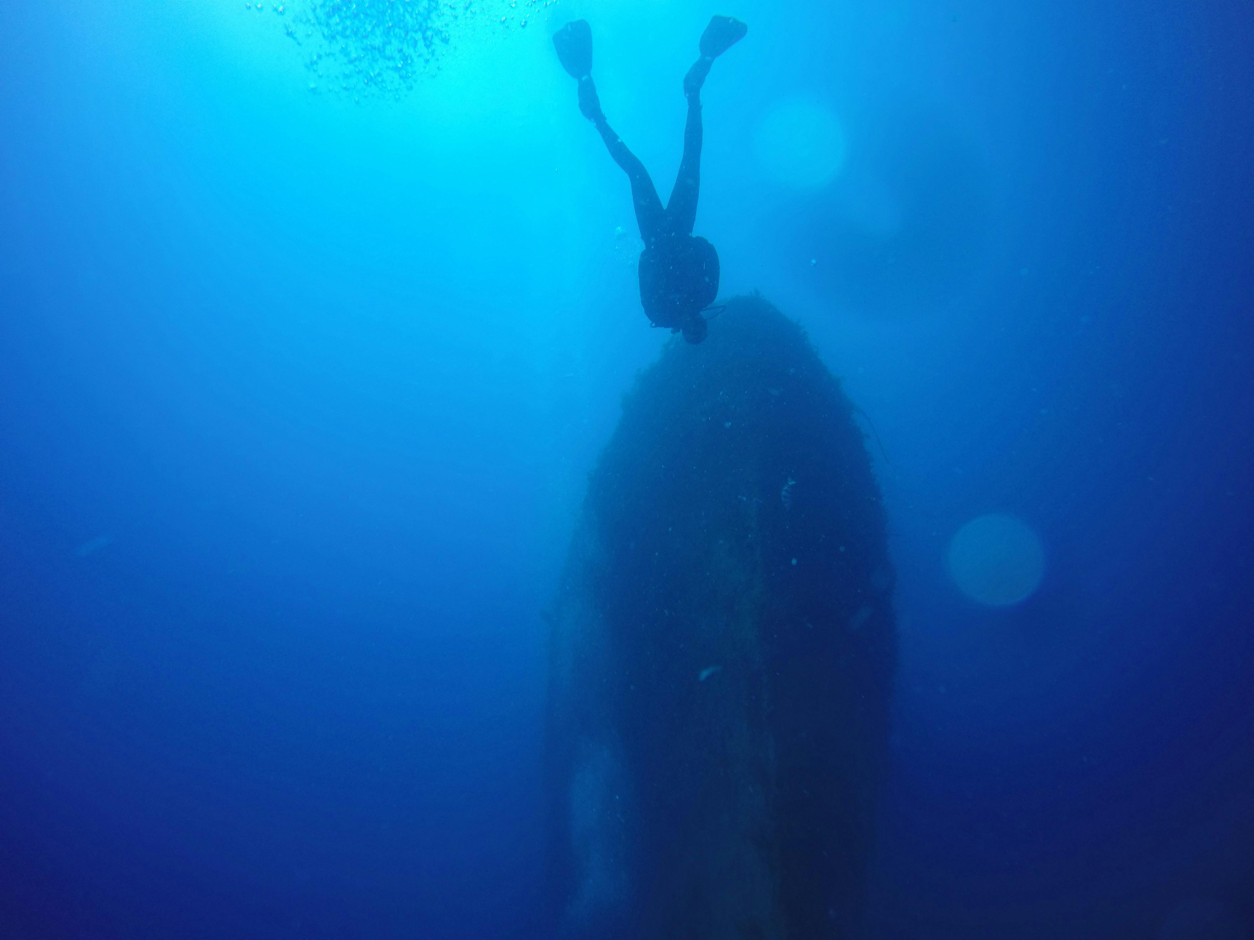 Swan Dive Dunsborough and Busselton