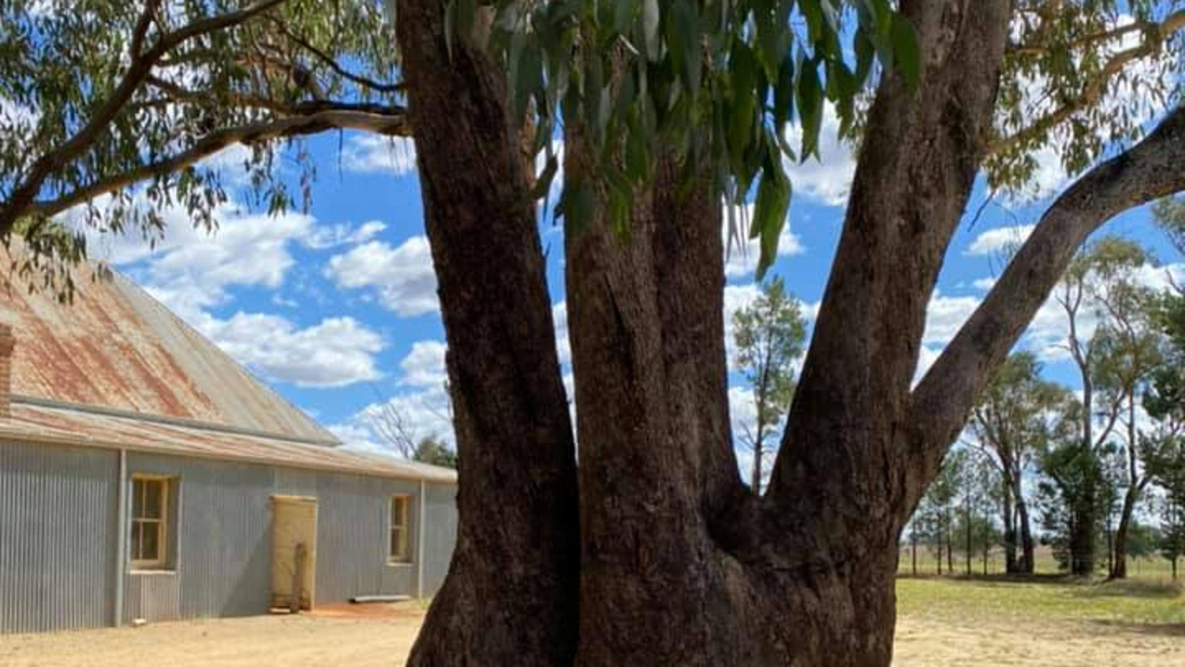 Bectric Hall Recreation Reserve