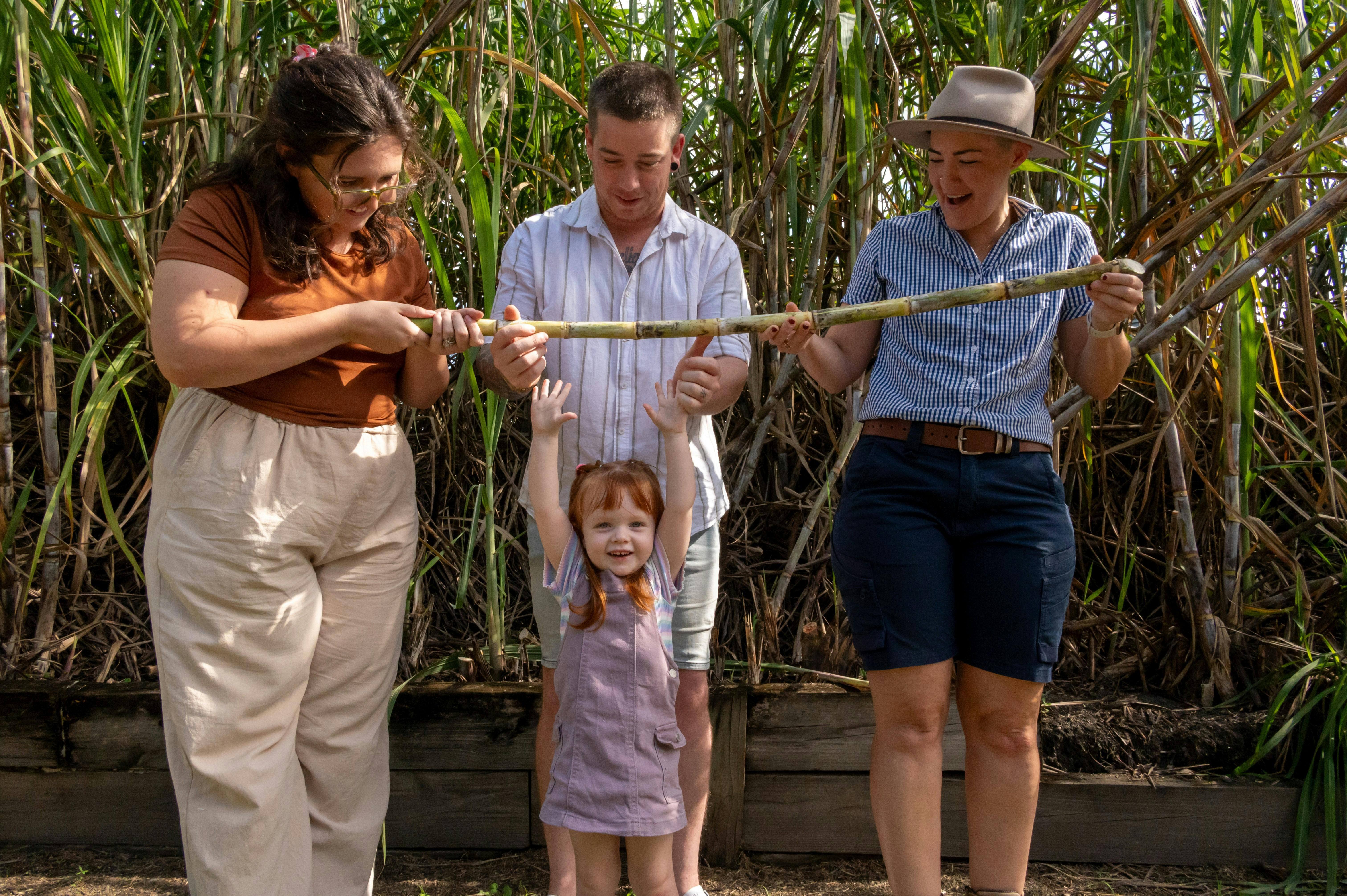 Sugar Cane Kids Tour at Sarina Sugar Shed Taste Daily Guided School Holiday Tours Mackay Queensland