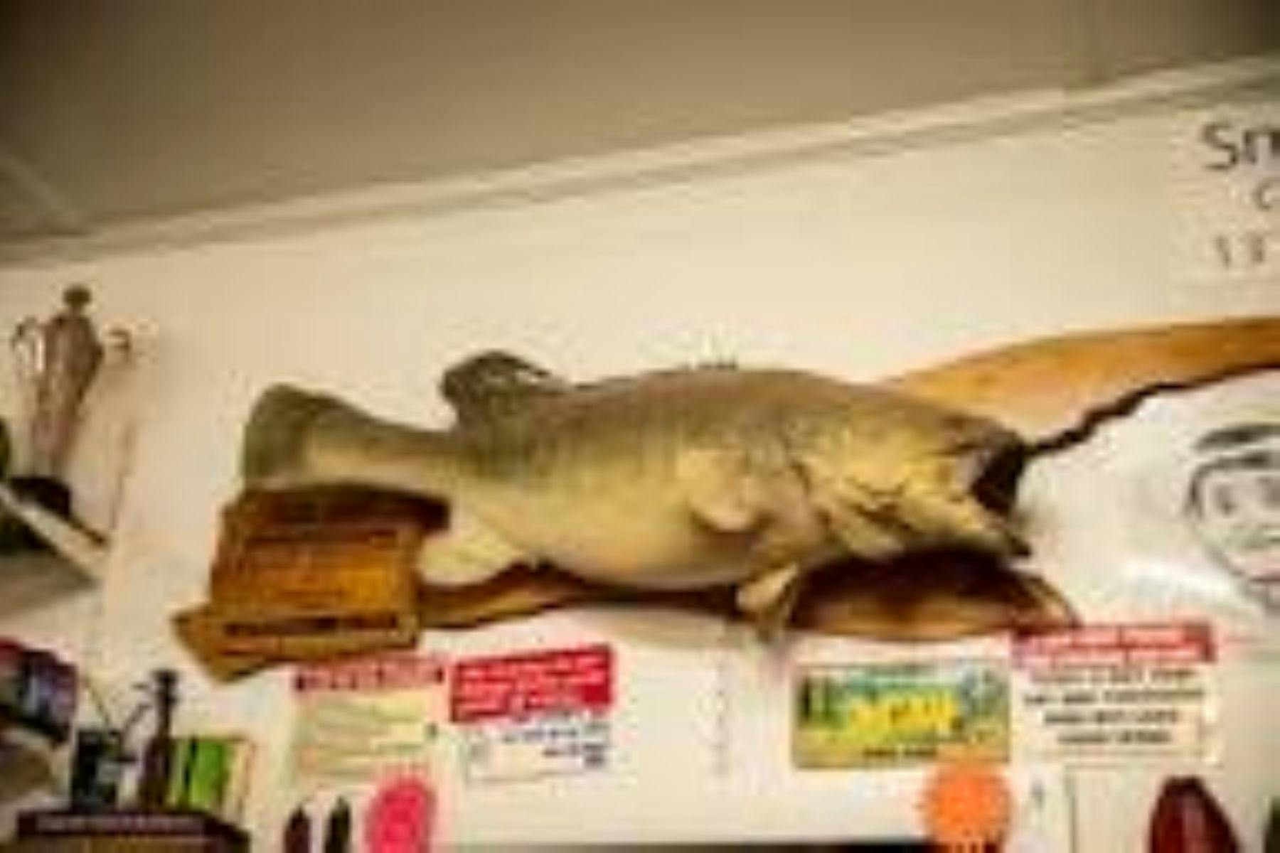 Image Pooncarie Hotel accommodation