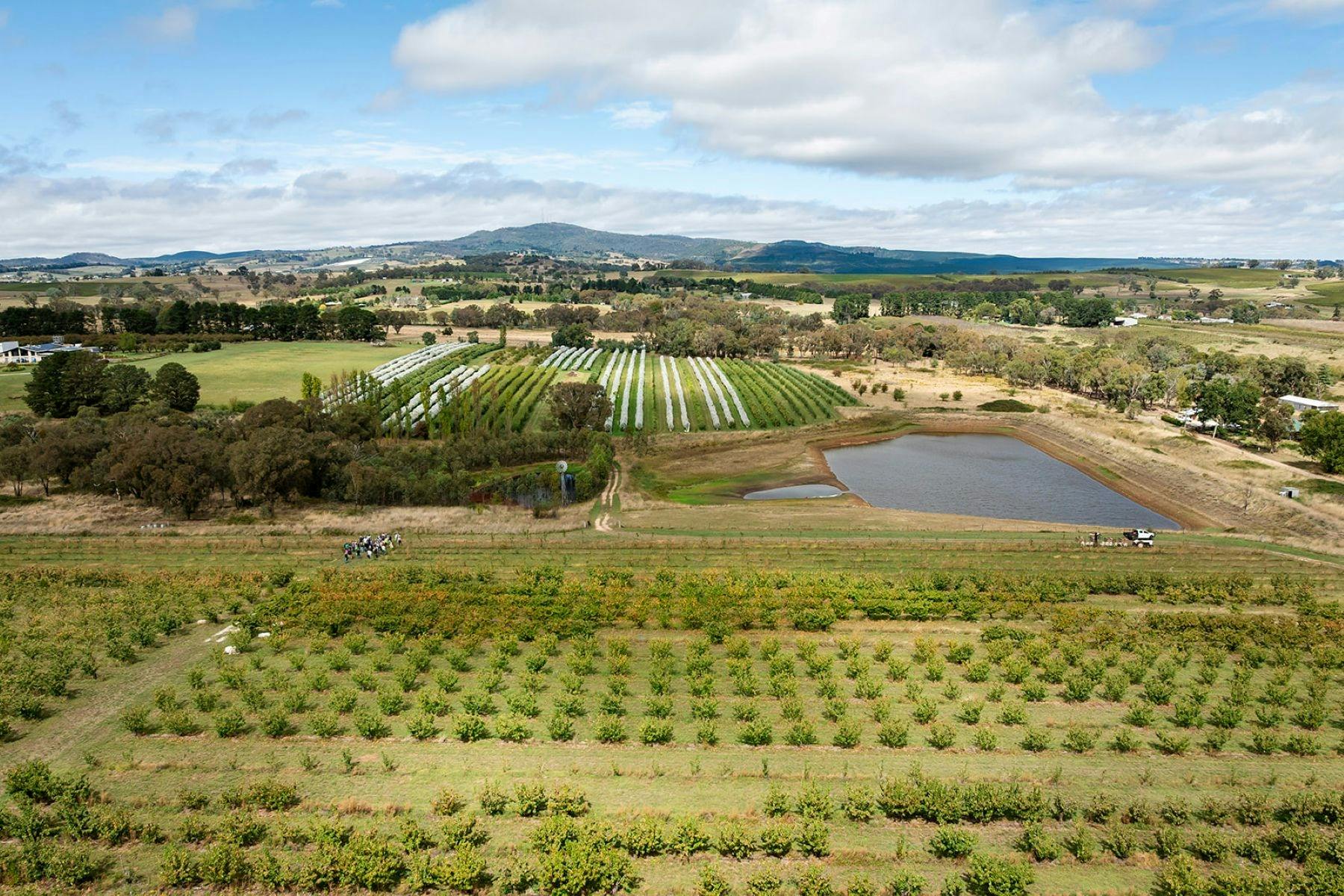 収穫祭の夕焼けピクニック