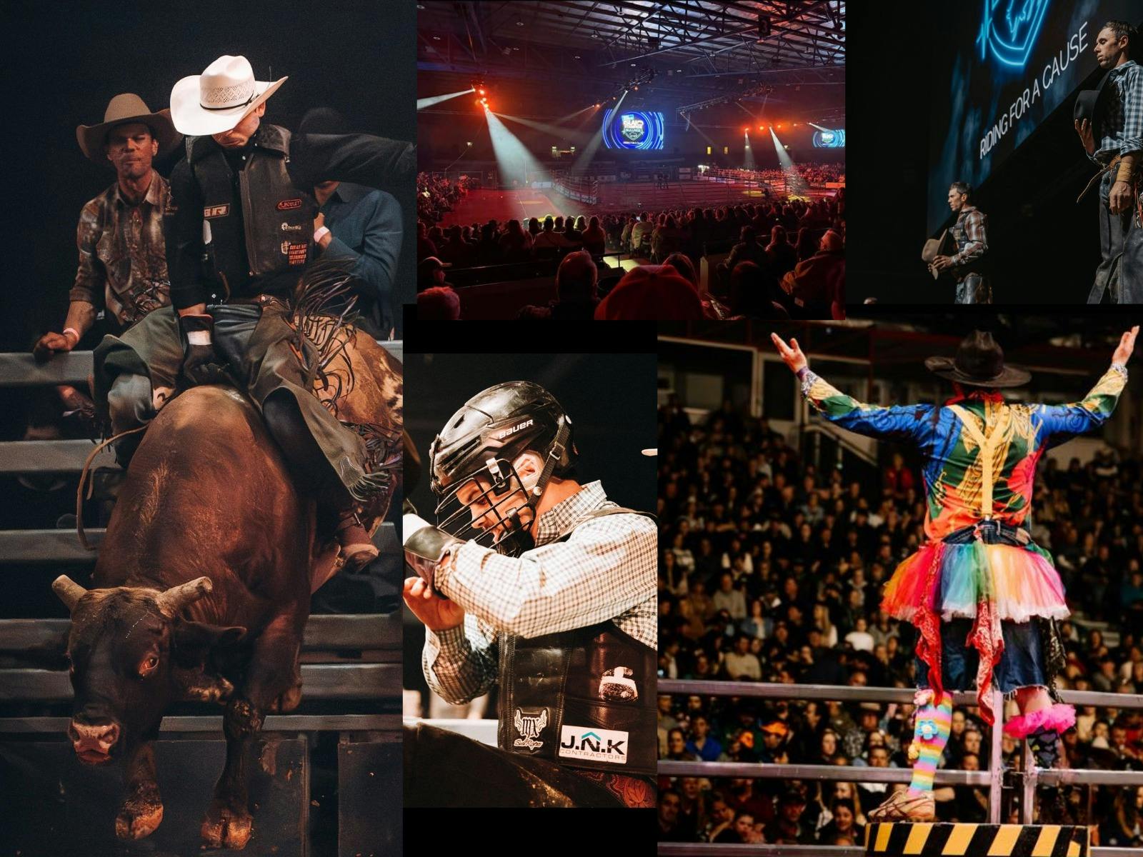 Collage of Island Stampede bull riding event showing a bull rider in action, packed Silverdome arena