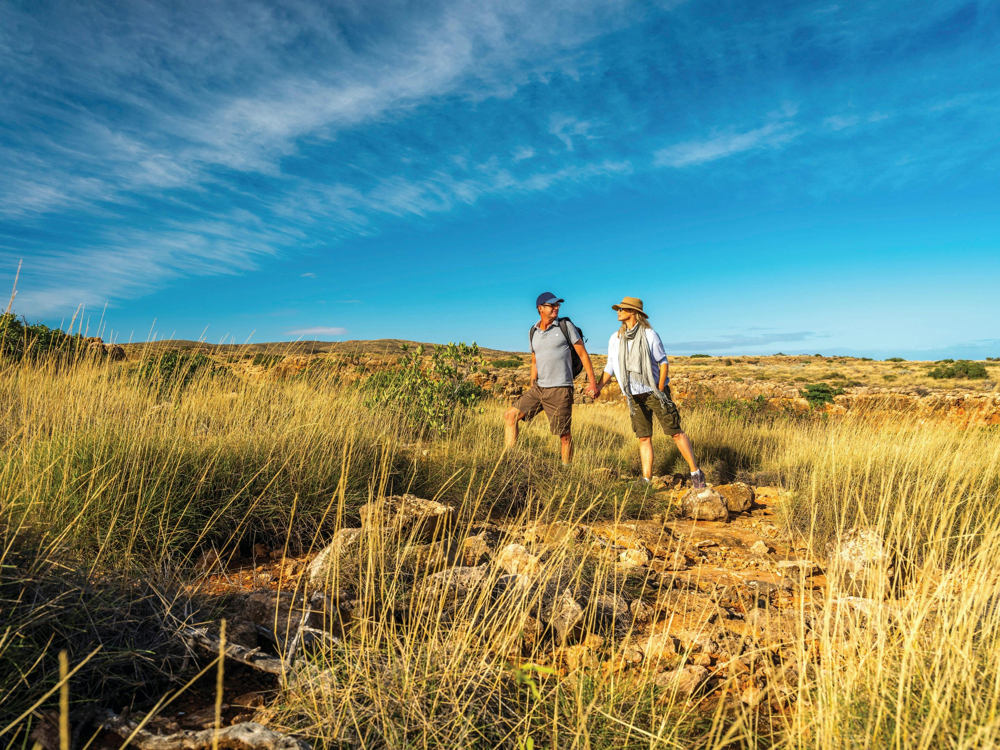 Cape Range Wildflower Trail, Western Australia