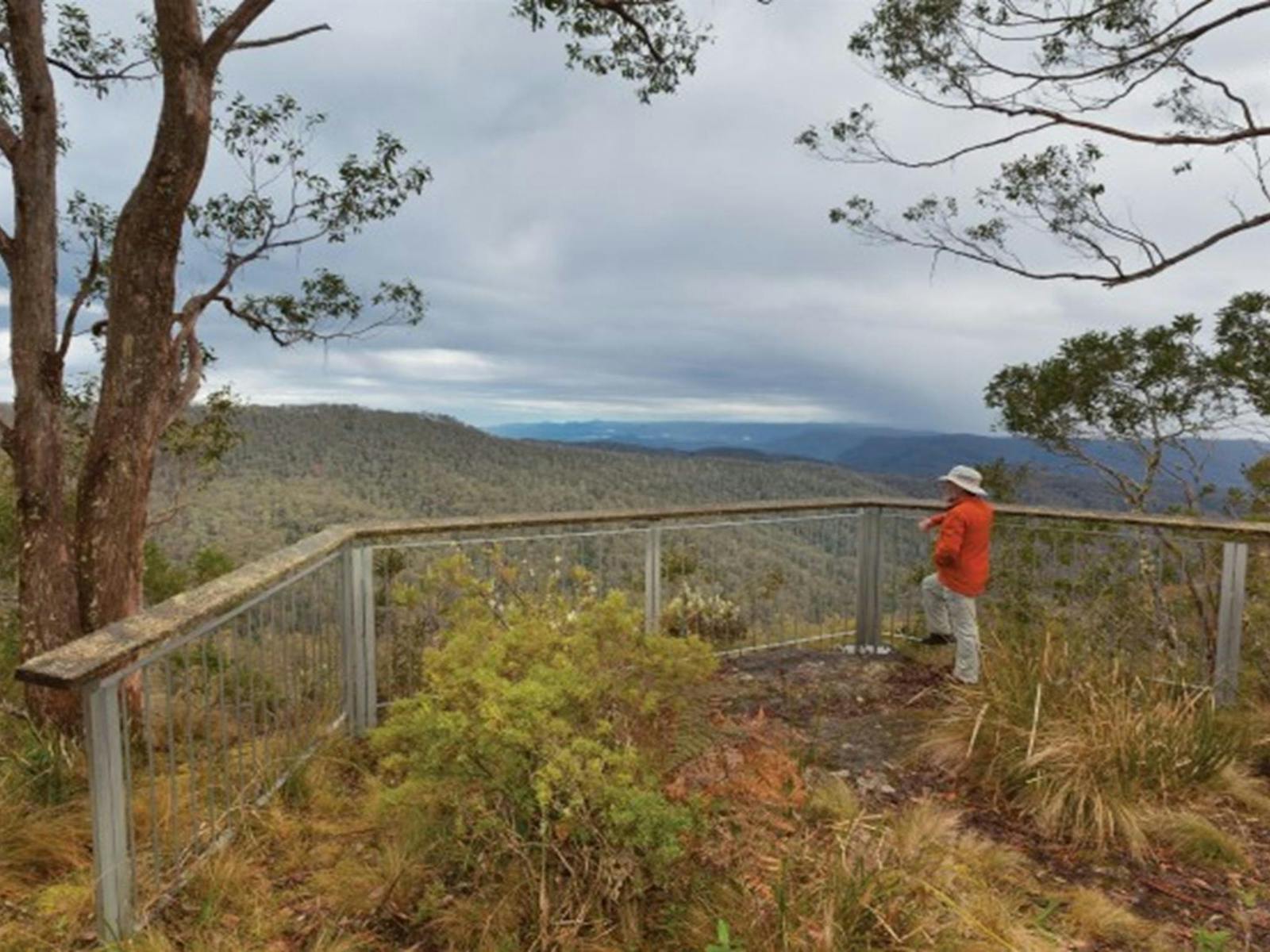 A man enjoying the view from Beech lookout in Cunnawarra National Park. Photo: Rob Clearly ©