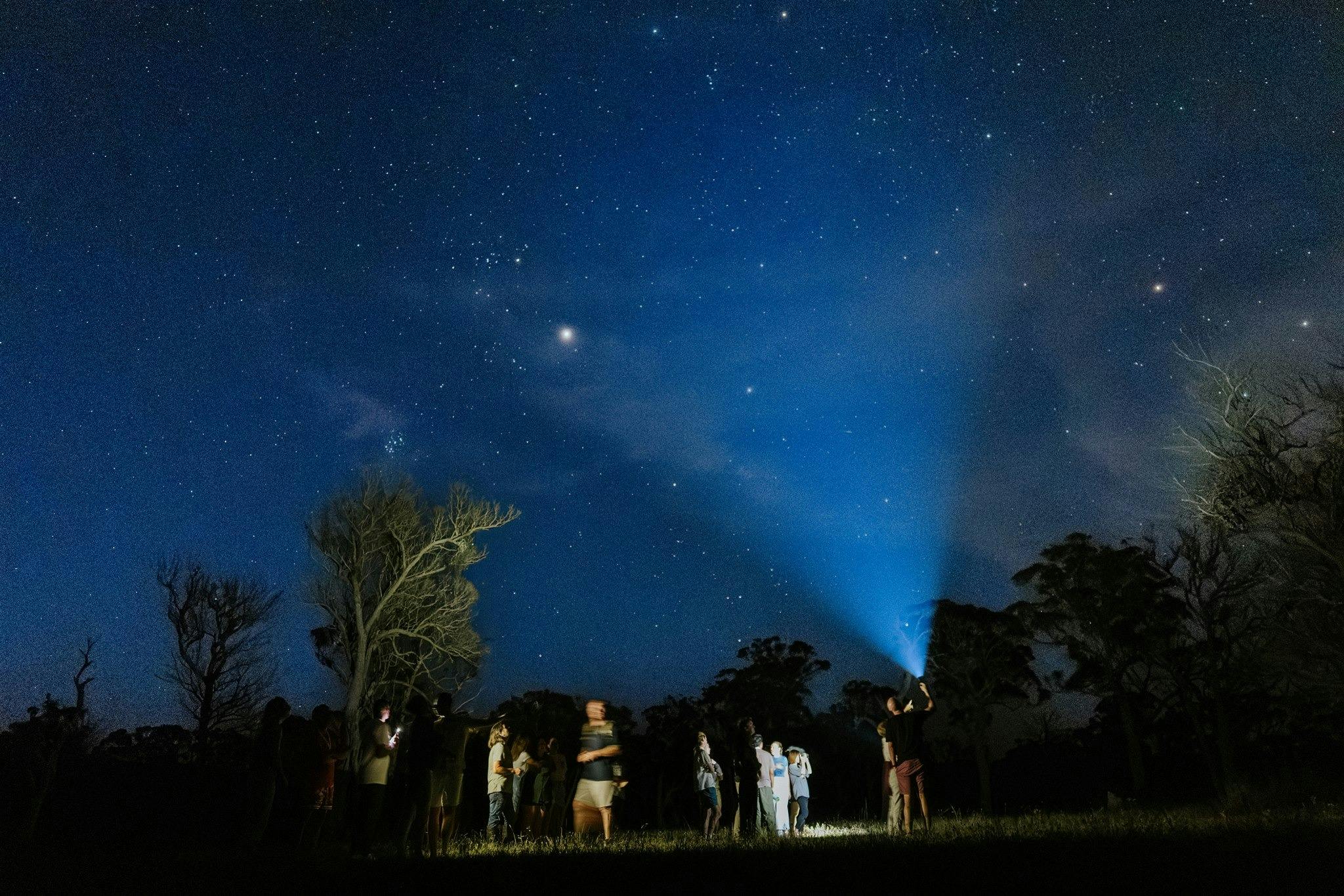 Walking under the stars after dining at Scribbly Farm