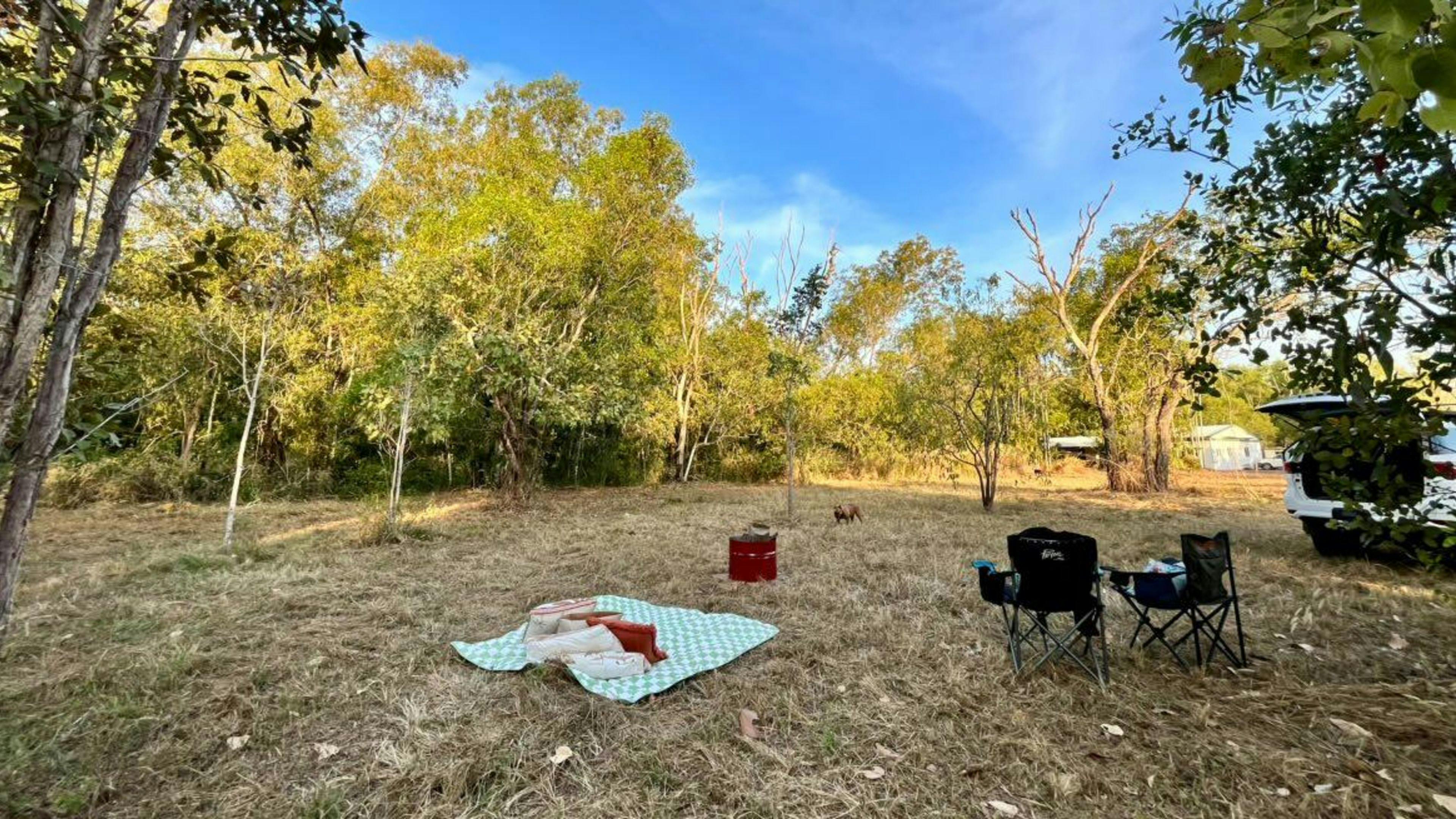 Bees Creek Tennis Club