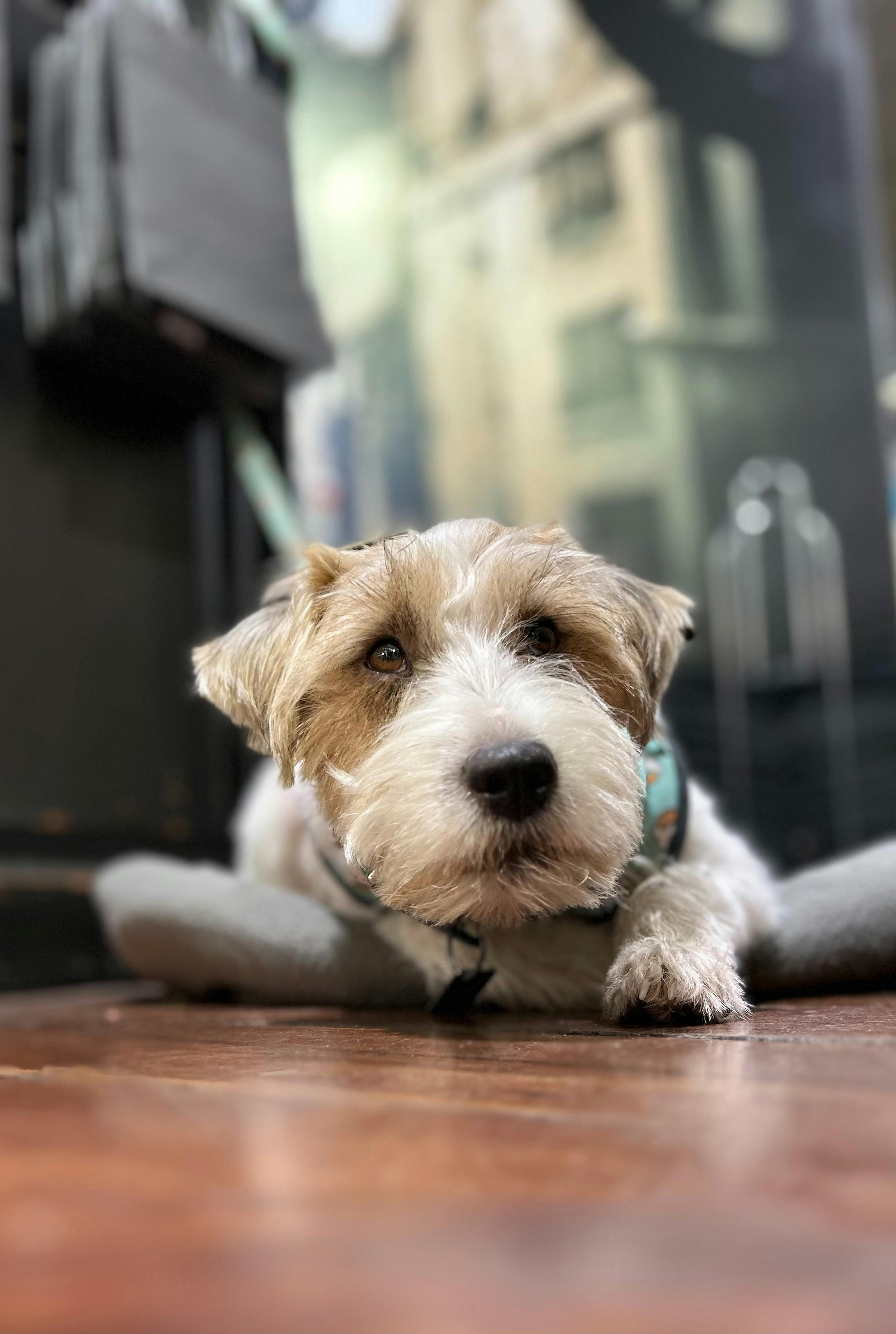Benson