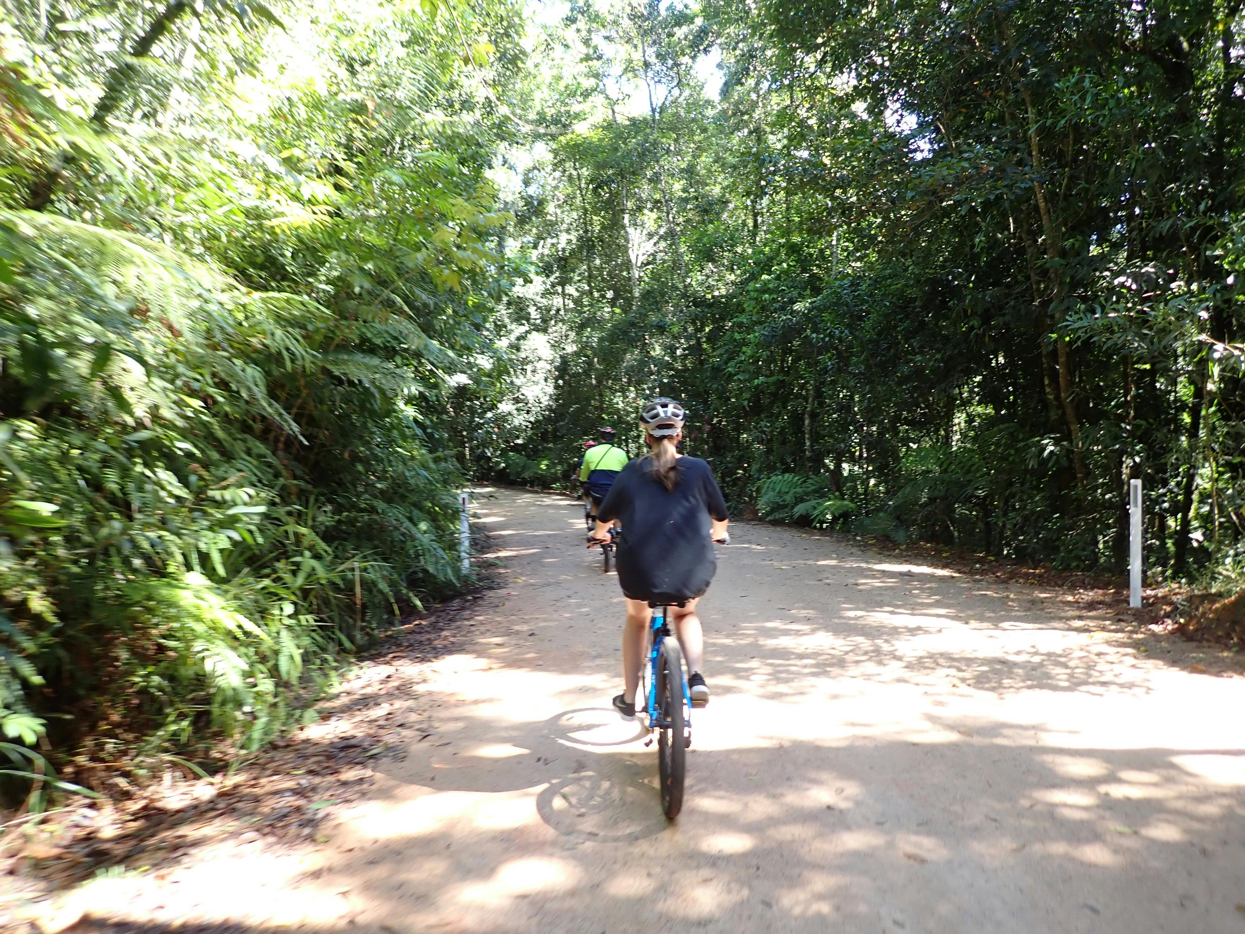 rainforest riding