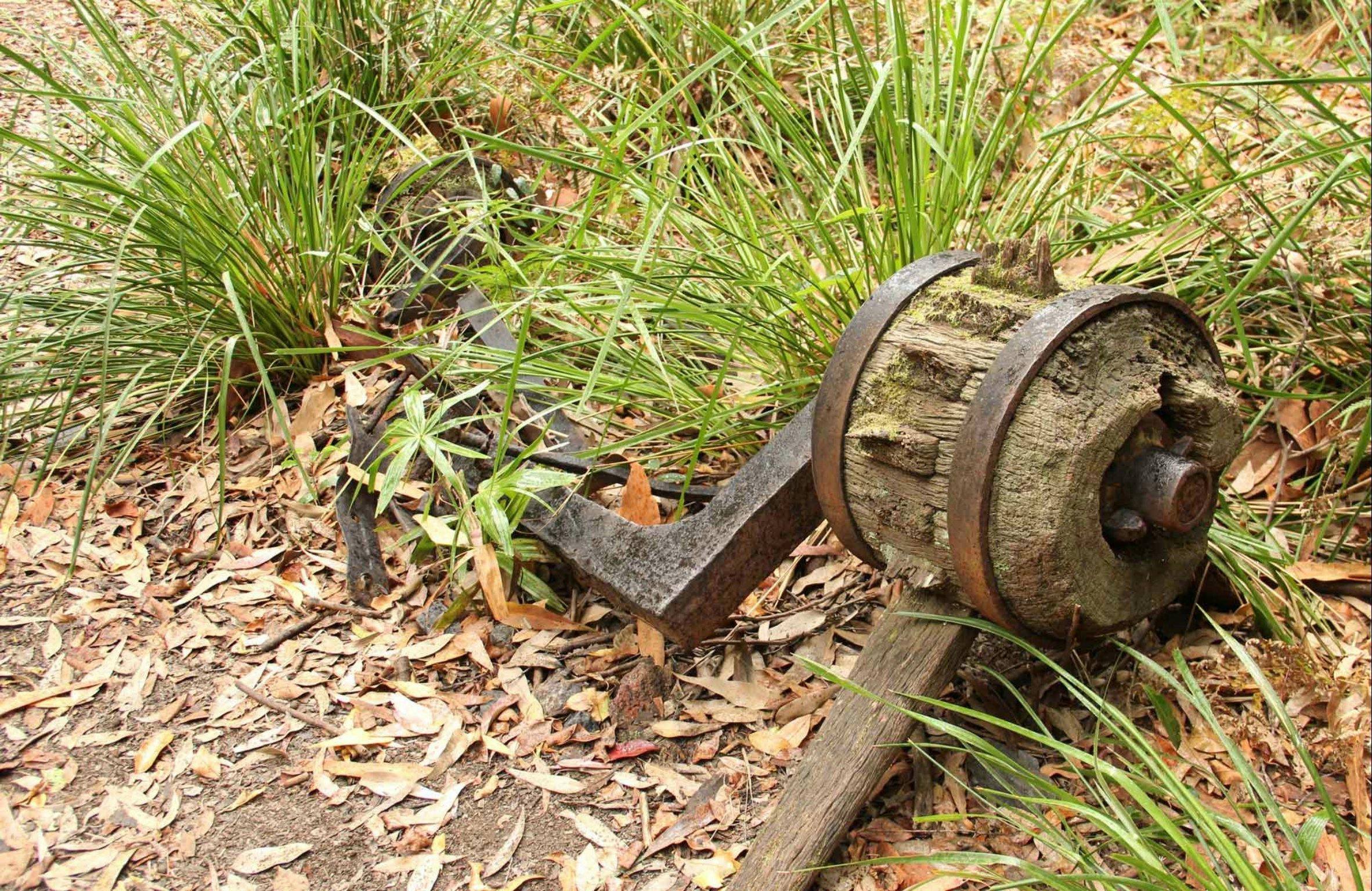 Durras Lake Discovery Walk, Murramurang National Park. Photo: John Yurasek/NSW Government