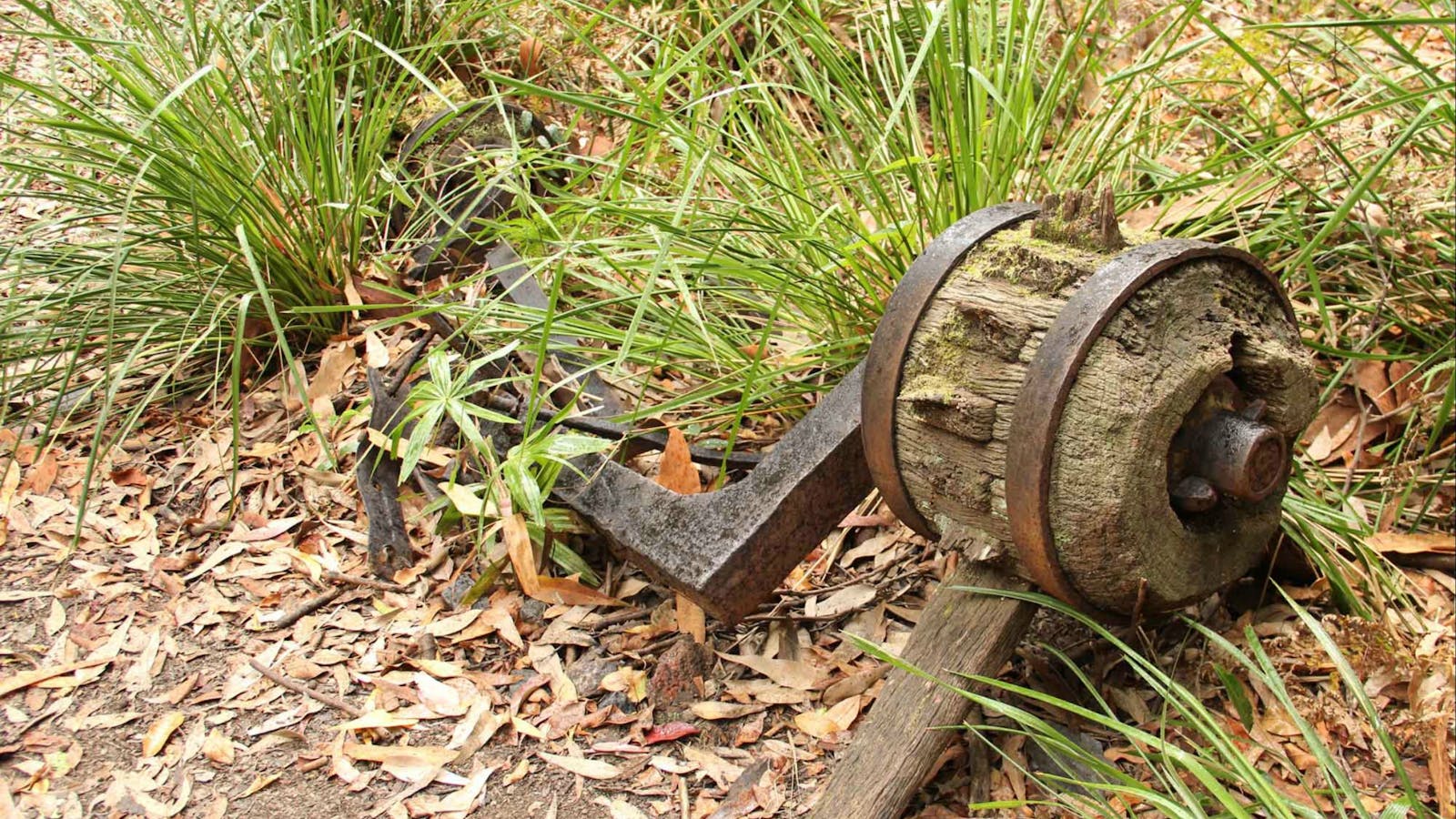 Durras Lake Discovery Trail