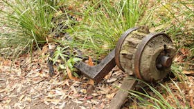 Durras Lake Discovery Trail