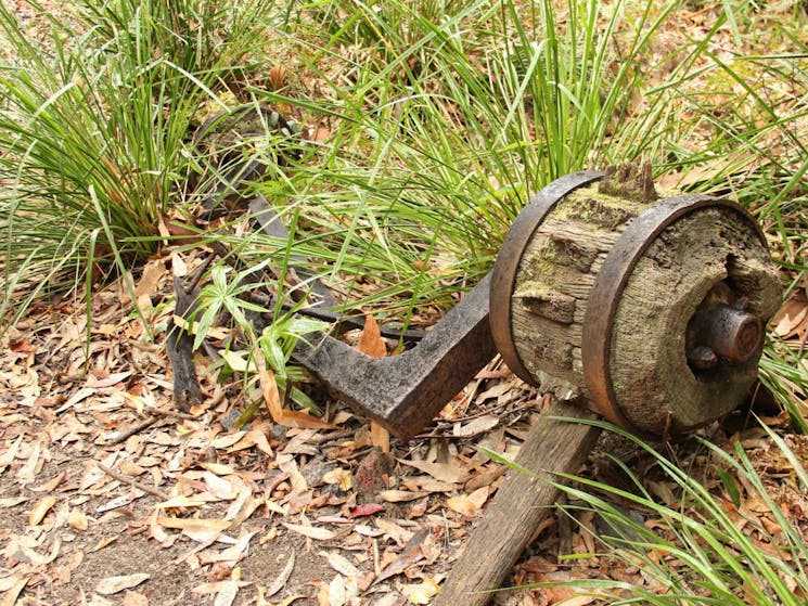 Durras Lake Discovery Walk, Murramurang National Park. Photo: John Yurasek/NSW Government