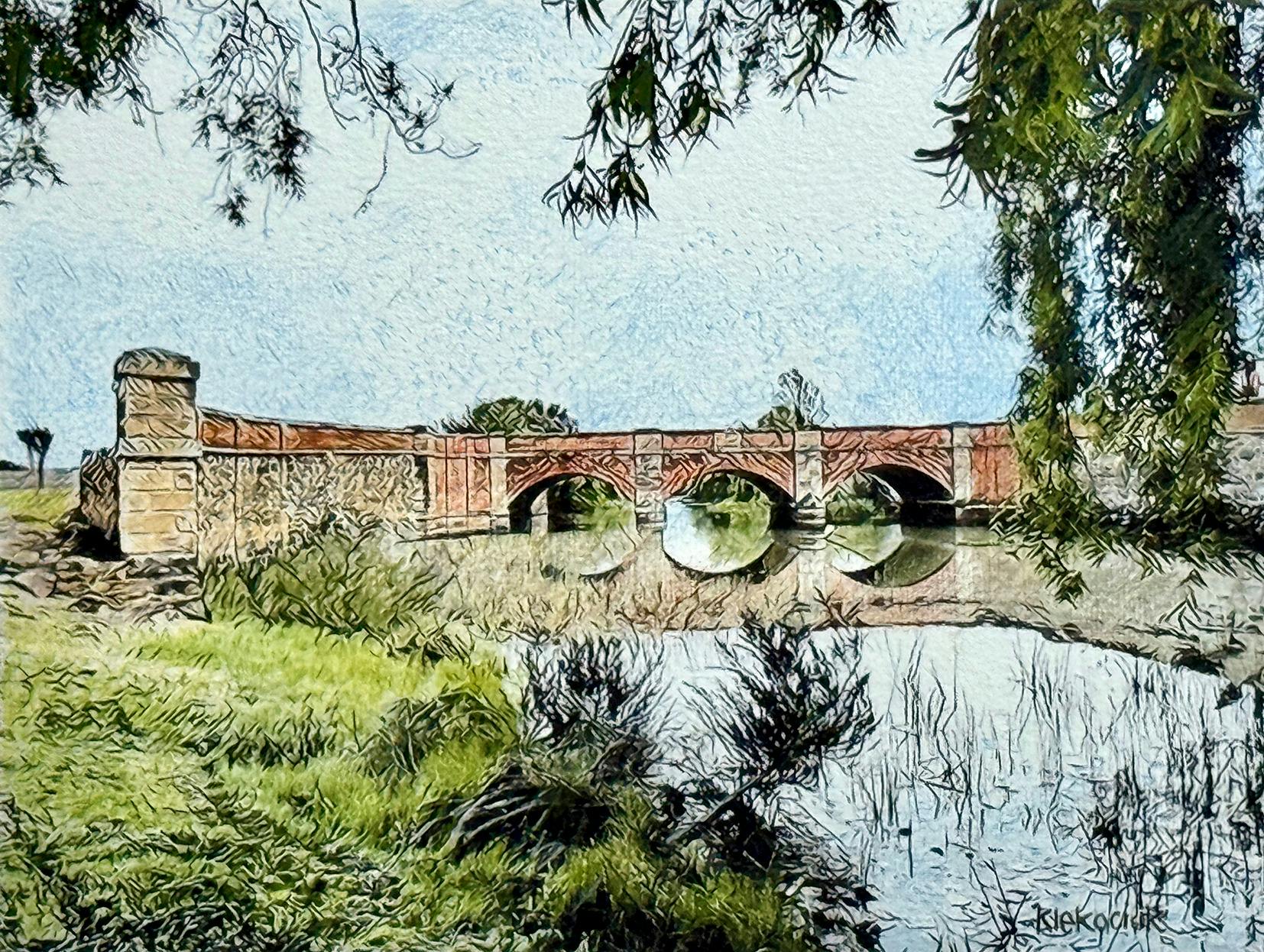 coloured pencil, art, exhibition, tasmania,