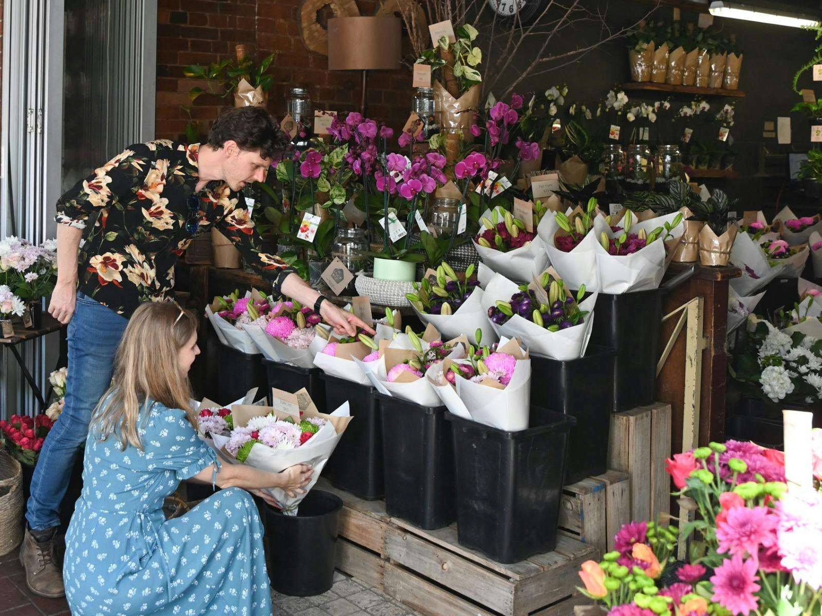 Discover Hutt Street