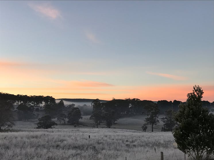 Frosty morning sunrise