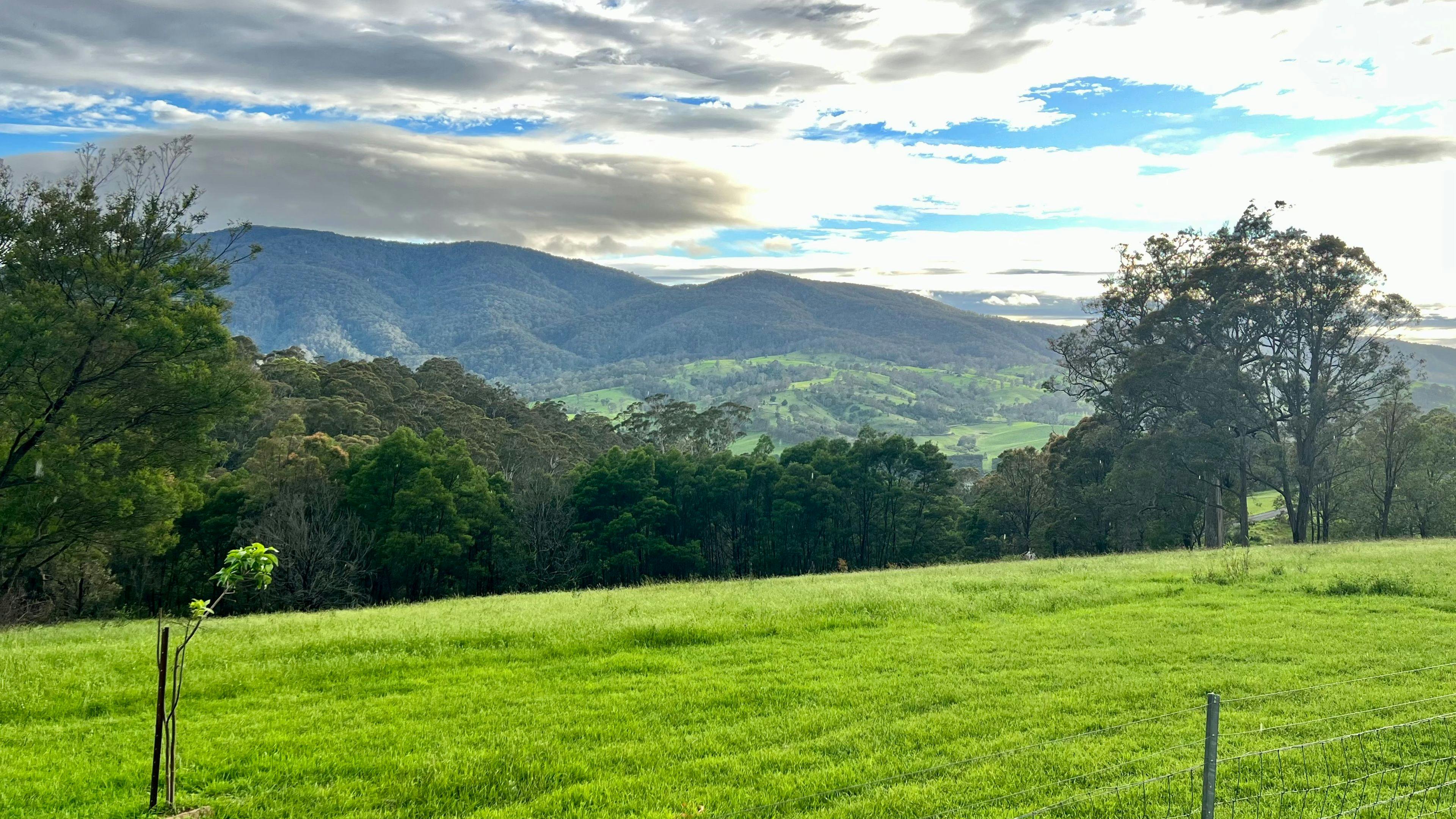 Bega Valley and Mountain Views