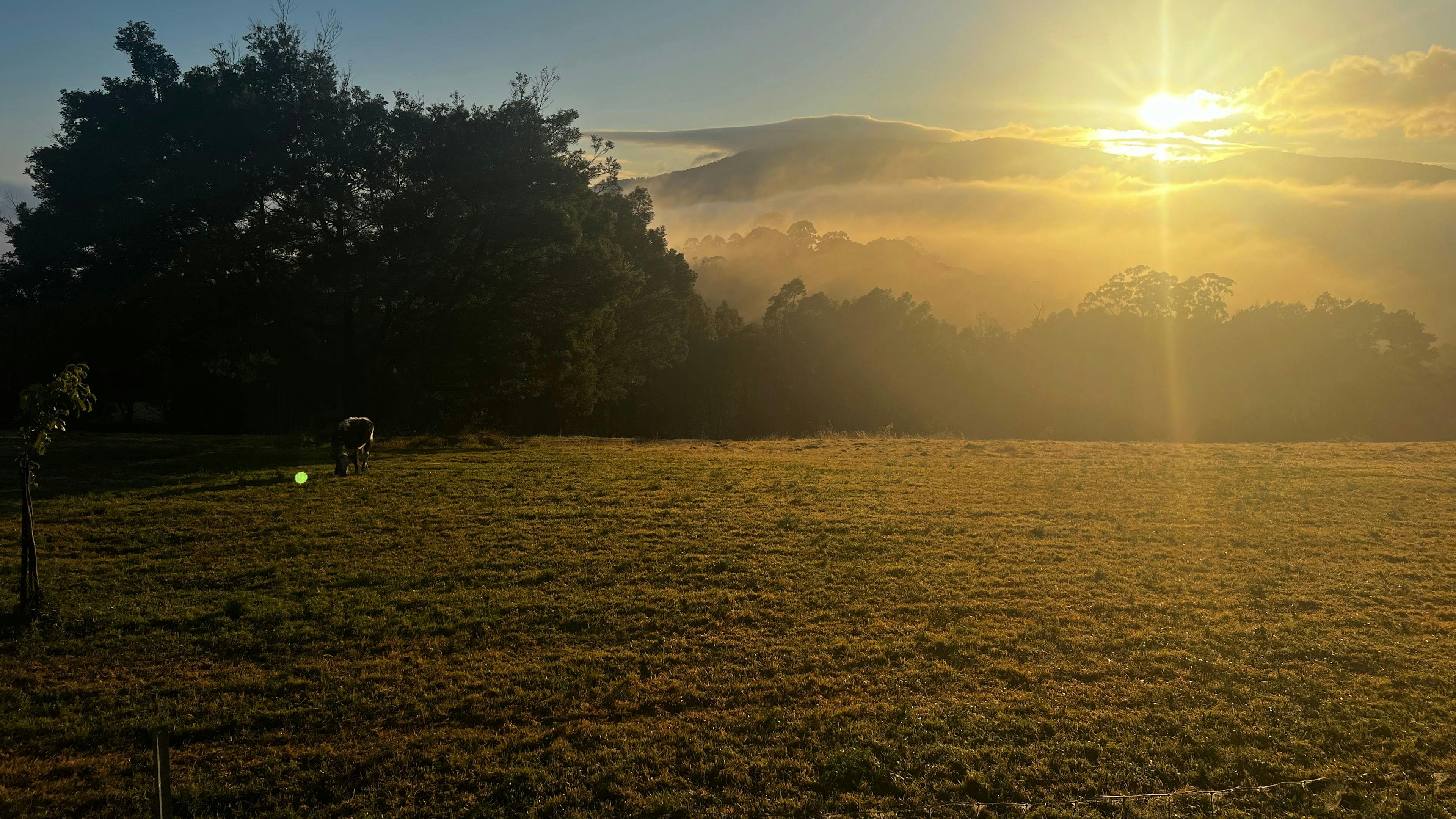 Bega Valley and Mountain Views