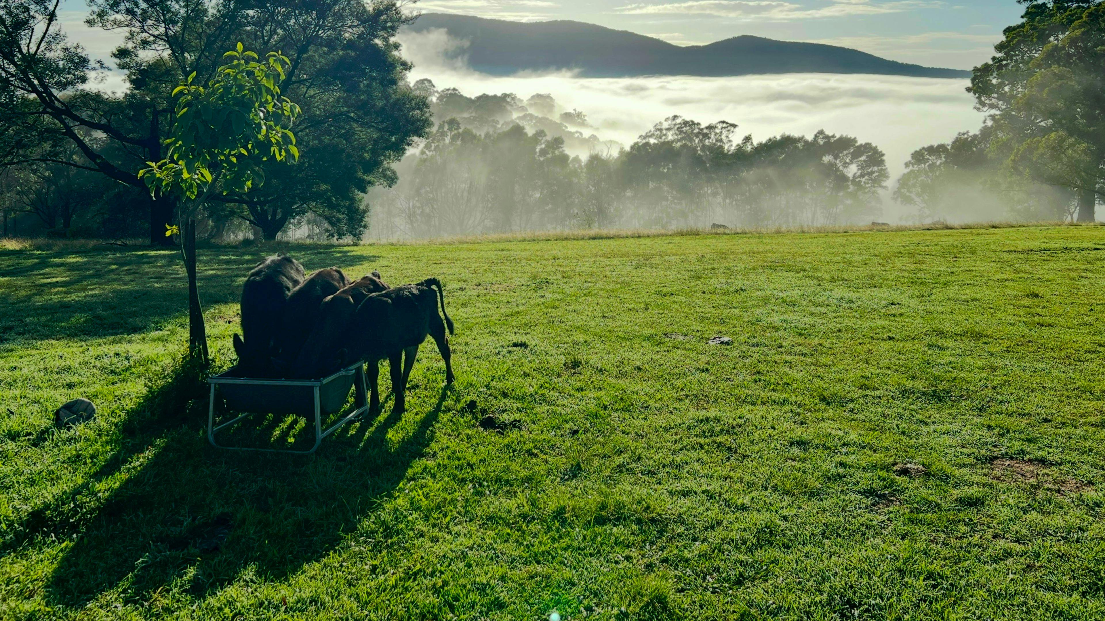 You’re welcome to wander around and explore the farm.