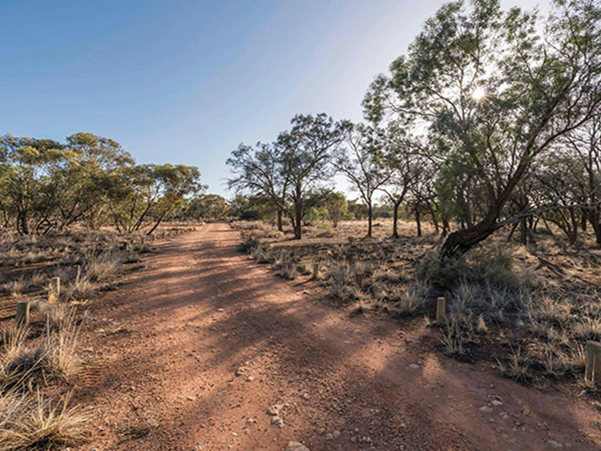 Belah campground, Mungo National Park. Photo: John Spencer/DPIE