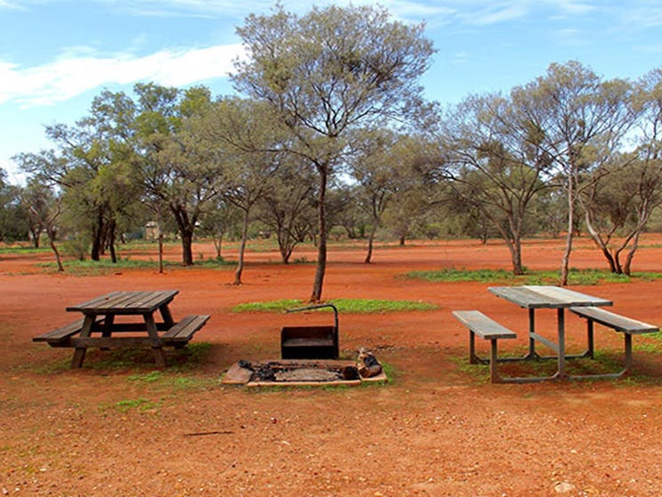 Belah Shearers' Quarters, Gundabooka National Park. Photo: John Yurasek/NSW Government