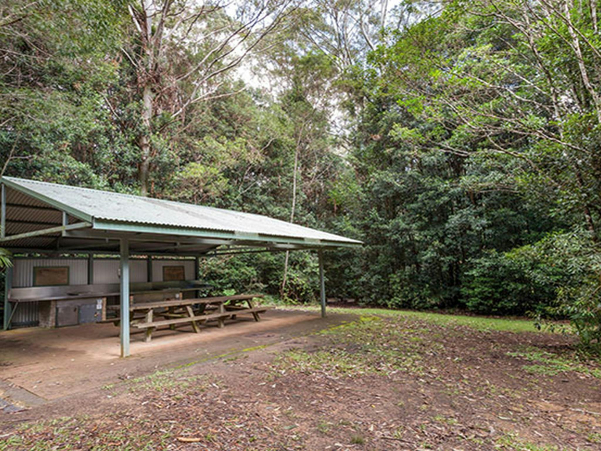 Bellbird campground with picnic shelter in Washpool National Park. Photo: Robert Cleary &copy; DPIE