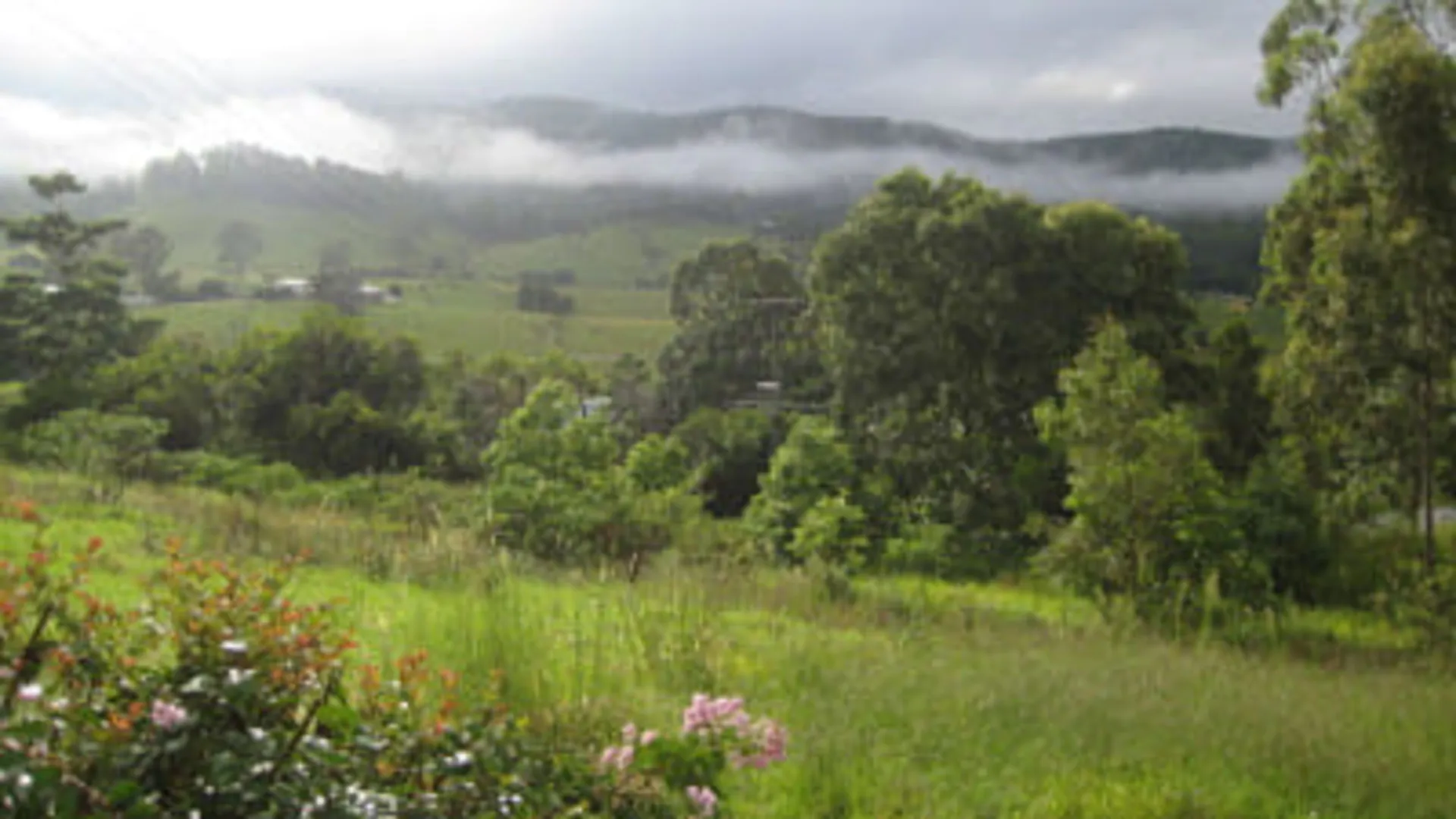 Bellbunya Eco Resort