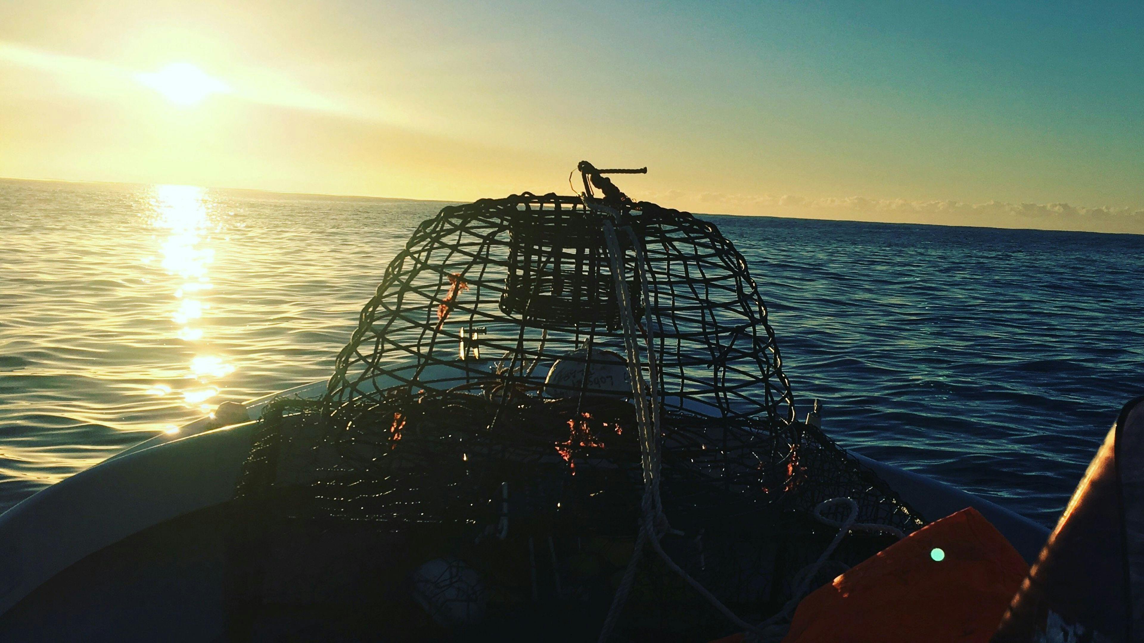 보트나 낚싯대를 가져오세요