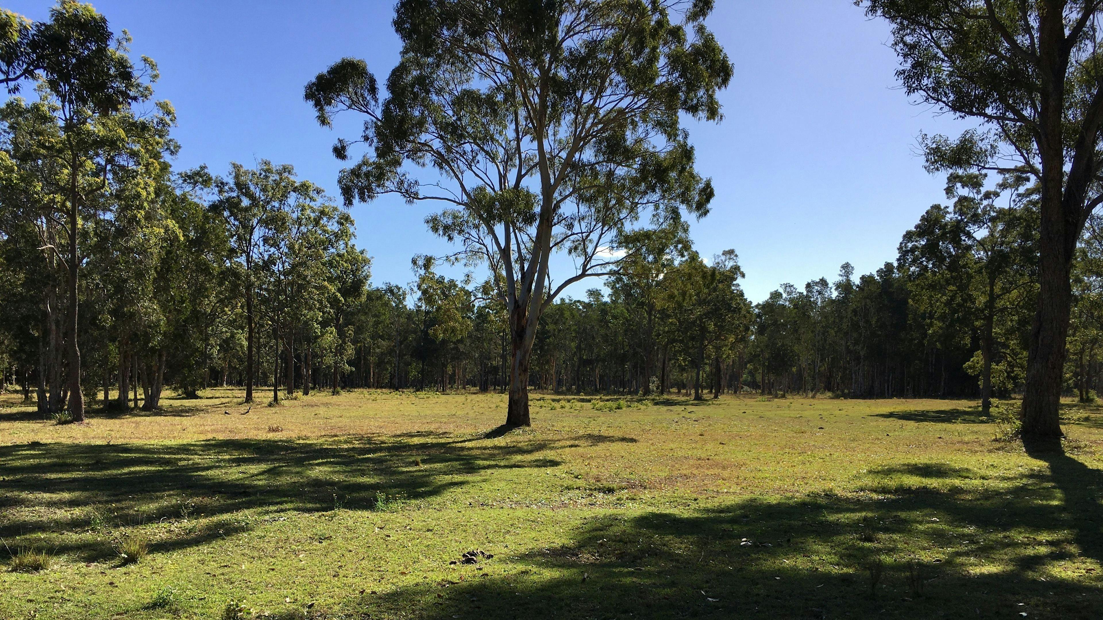 갤러리를 보려면 클릭하세요