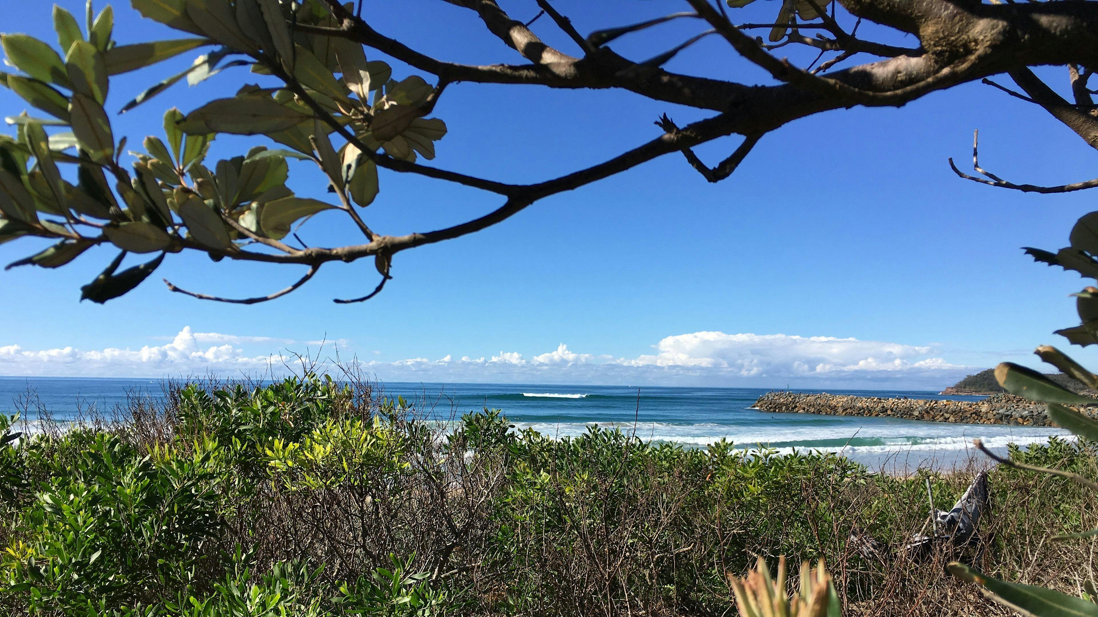 해변과 강에 가깝습니다