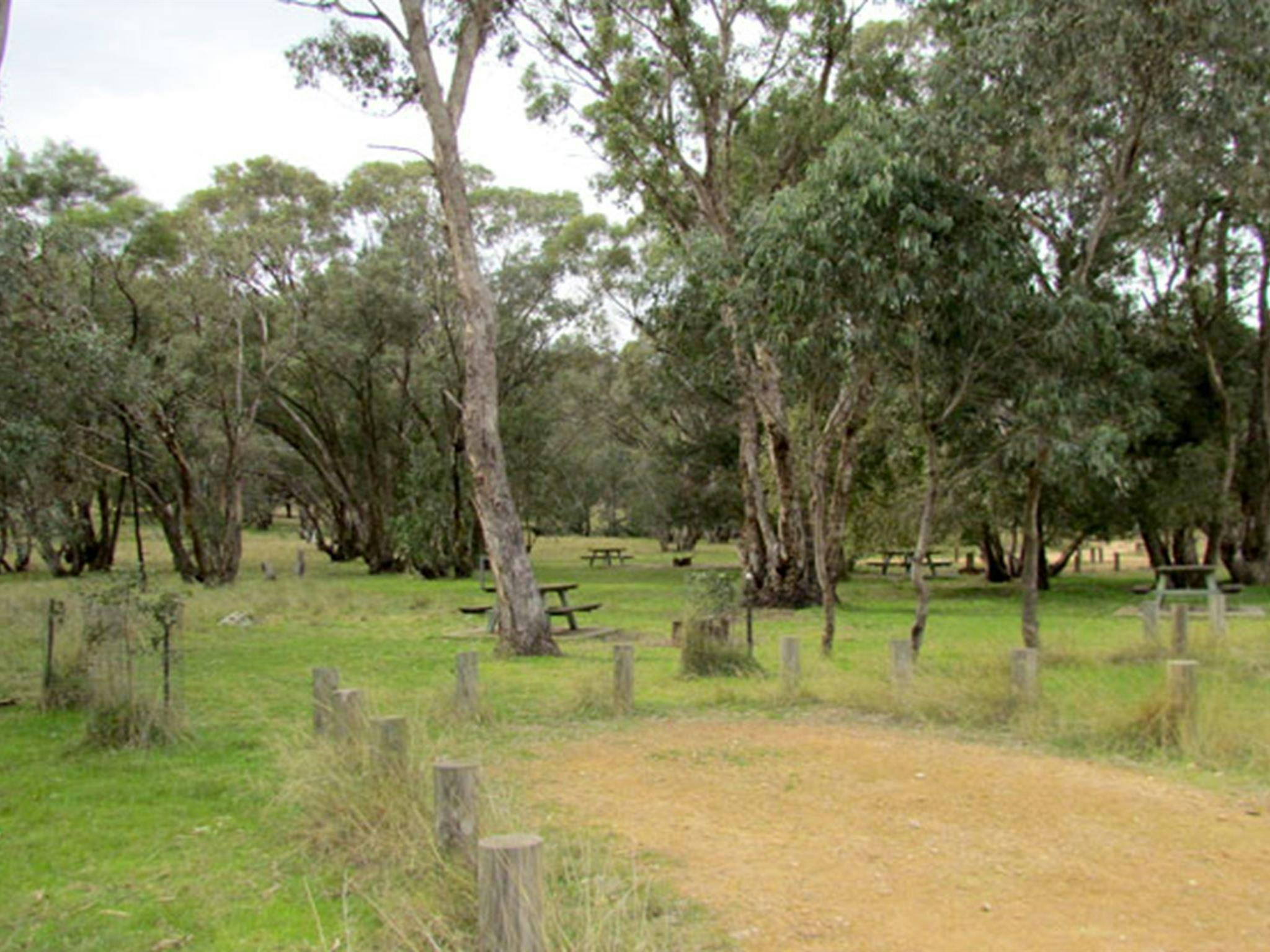 Ben Halls campground