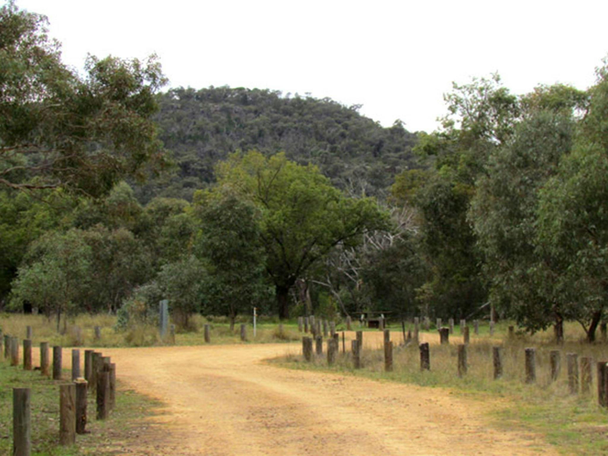 Ben Halls Campground, Weddin Mountains National Park. Photo: M Cooper/NSW Government