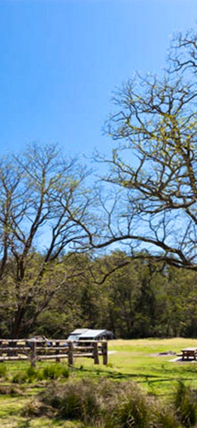 Bendethera Valley campground flat, Deua National Park. Photo: Lucas Boyd Copyright:NSW Government