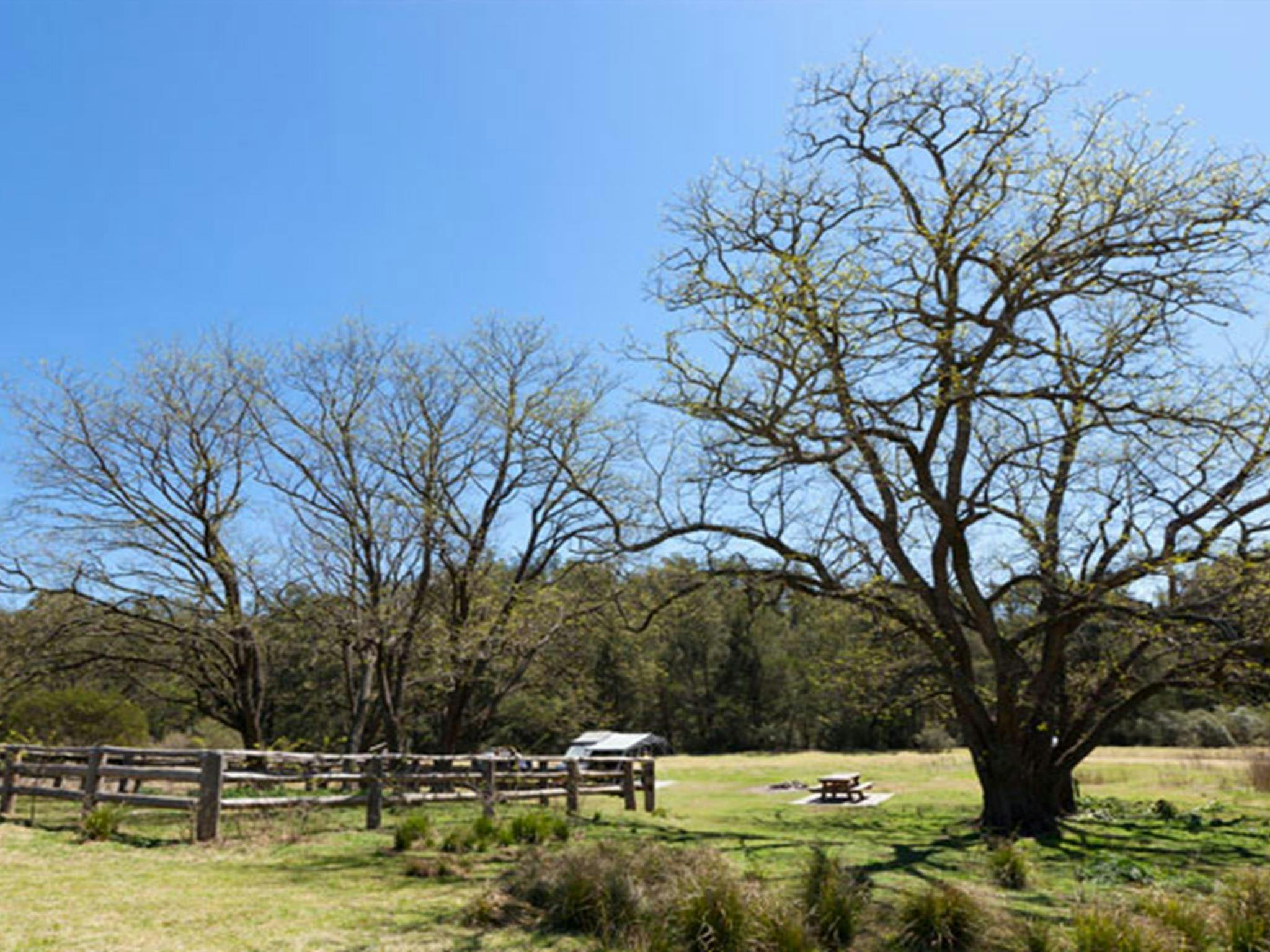 Bendethera Valley campground flat, Deua National Park. Photo: Lucas Boyd Copyright:NSW Government