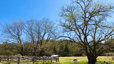 Bendethera Valley campground flat, Deua National Park. Photo: Lucas Boyd Copyright:NSW Government