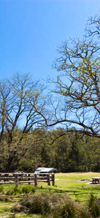 Bendethera Valley campground flat, Deua National Park. Photo: Lucas Boyd Copyright:NSW Government