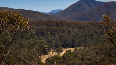 Bendethera Valley campground, Deua National Park. Photo: Lucas Boyd Copyright:NSW Government