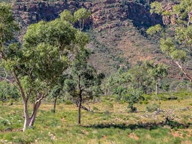 Bennetts Gorge picnic area