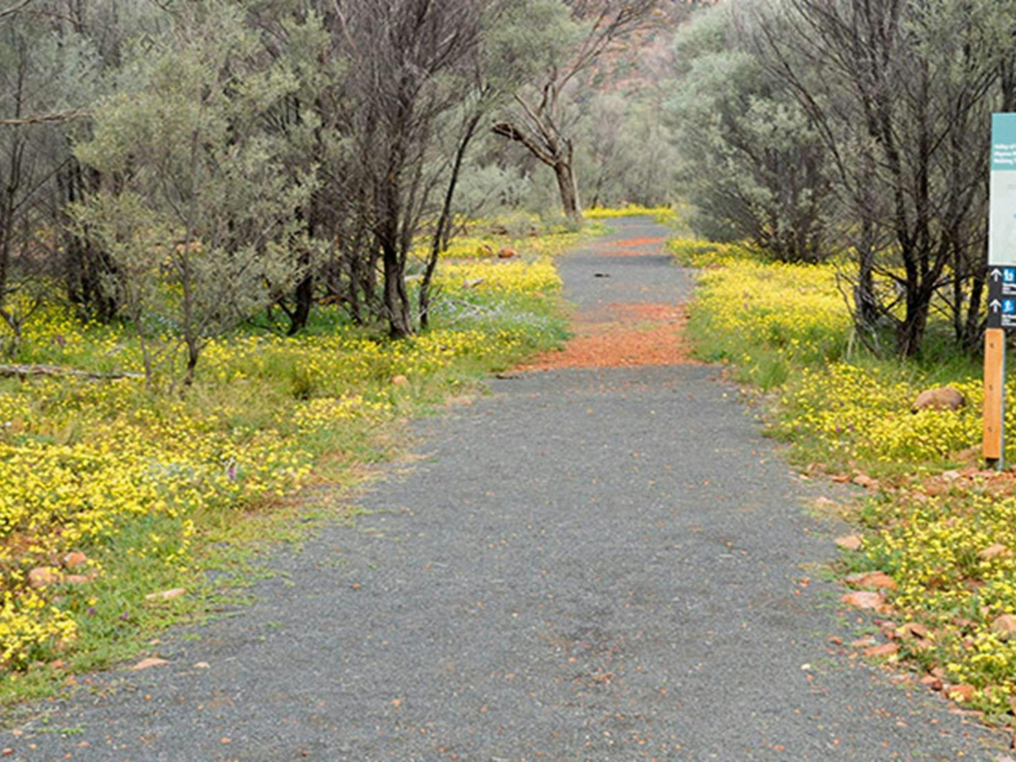 Trackhead for Valley of the Eagles walk in Gundabooka National Park. Photo credit: Leah Pippos